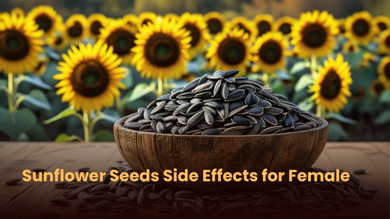 Sunflower Seeds Side Effects for Female