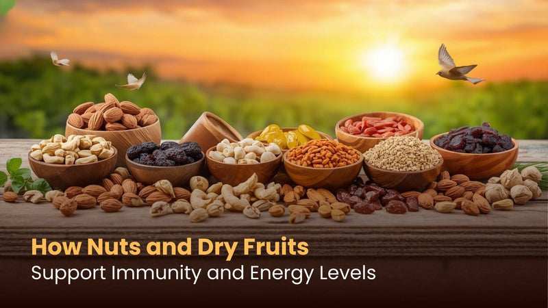 How Nuts and Dry Fruits Support Immunity and Energy Levels