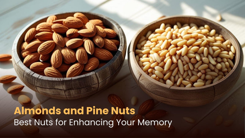 Almonds and Pine Nuts: Best Nuts for Enhancing Your Memory