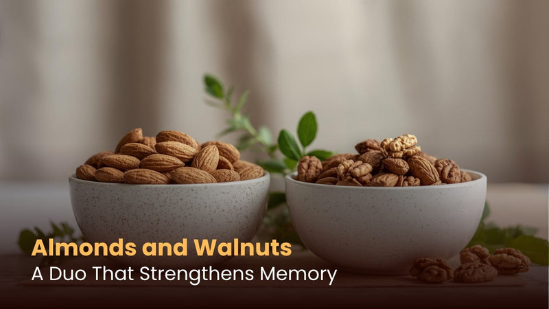 Almonds and Walnuts: A Duo That Strengthens Memory