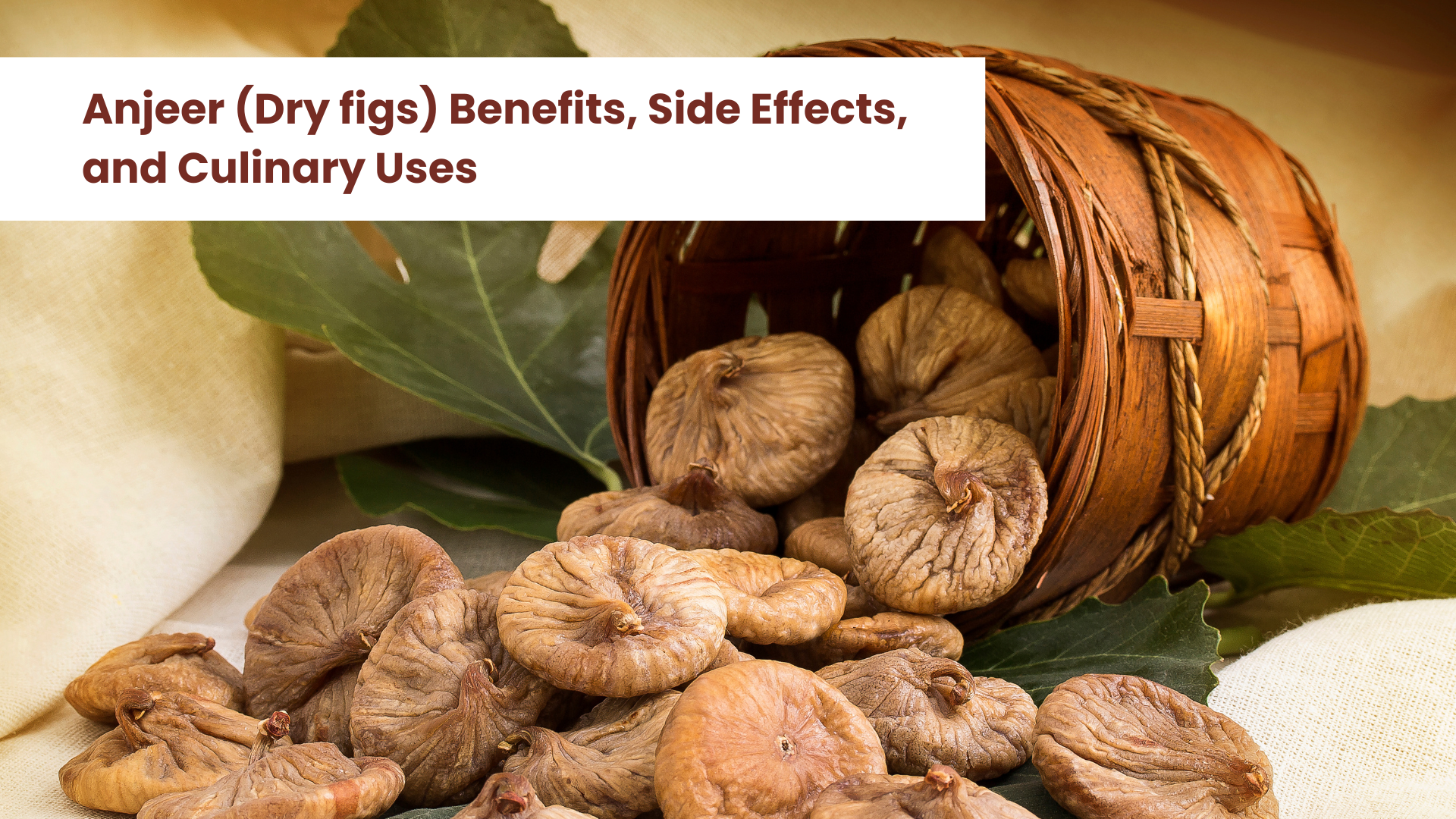 Angeer Insect Anjeer Benefits & Uses You Can't Miss | Krishival