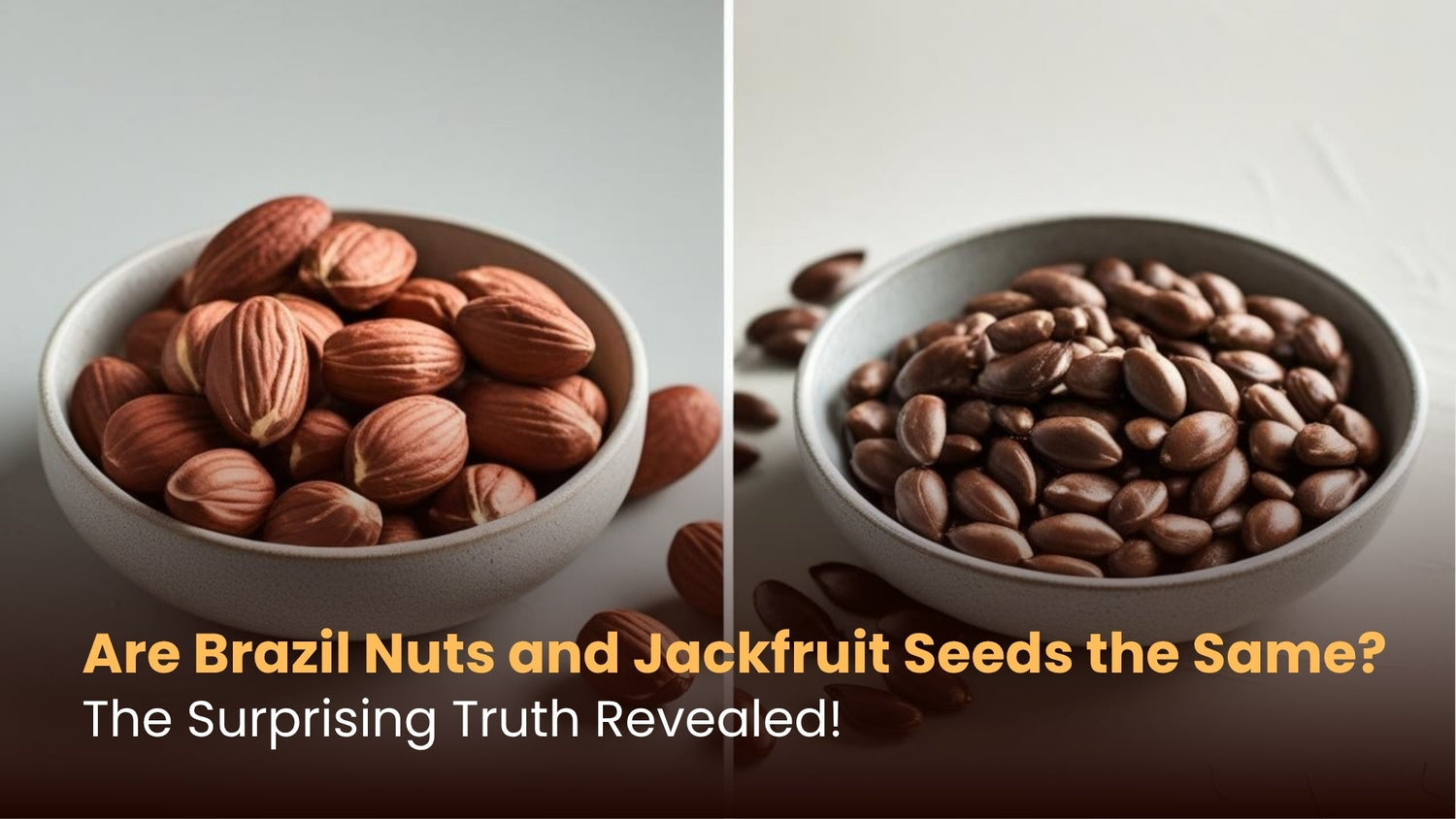 Are Brazil Nuts and Jackfruit Seeds the Same? The Surprising Truth Revealed!