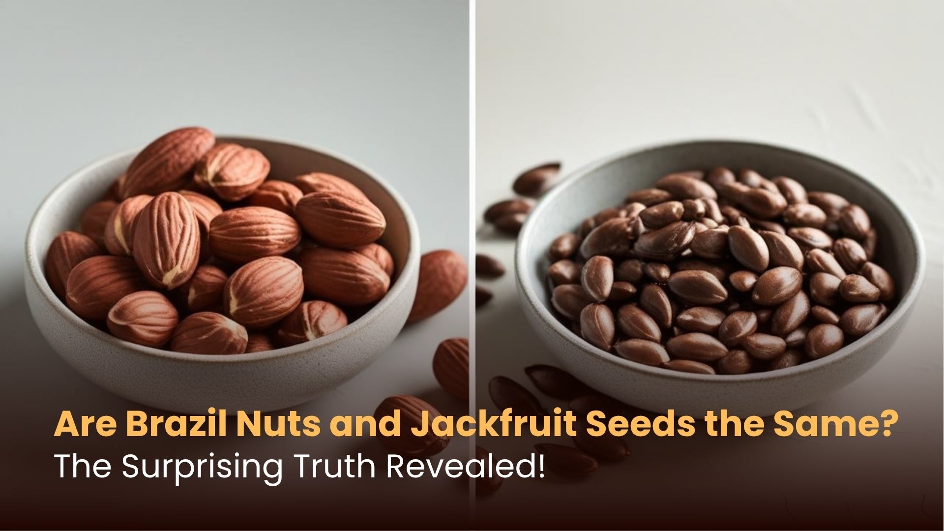 Are Brazil Nuts and Jackfruit Seeds the Same? The Surprising Truth Revealed!