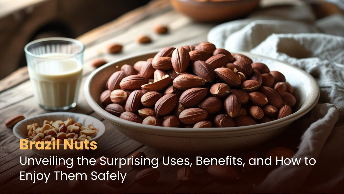 Brazil Nuts: Unveiling the Surprising Uses, Benefits, and How to Enjoy Them Safely