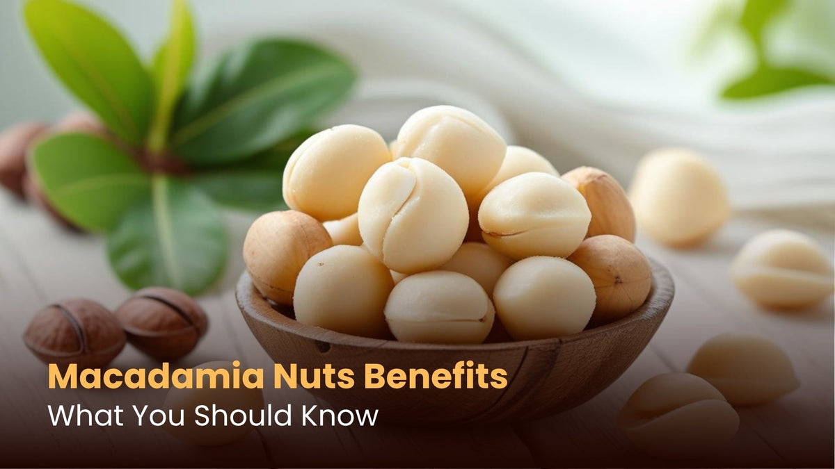 Macadamia Nuts Benefits: What You Should Know