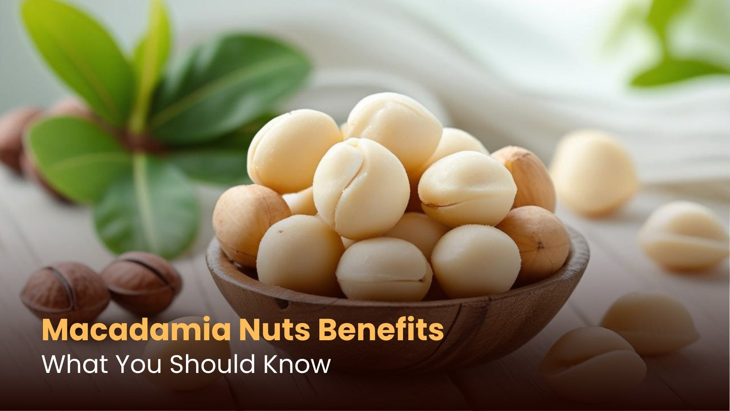 Macadamia Nuts Benefits: What You Should Know