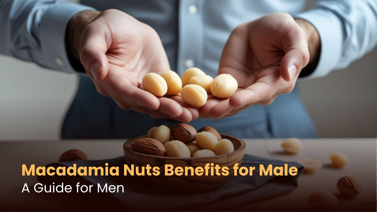 Macadamia Nuts Benefits for Male: A Guide for Men