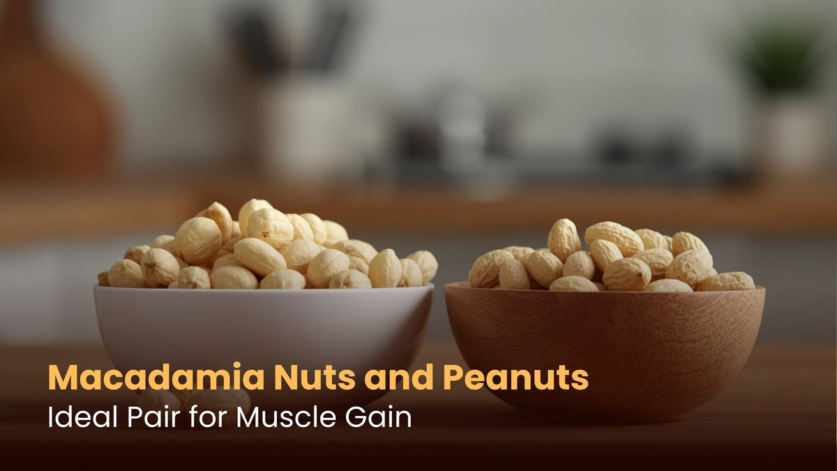 Macadamia Nuts and Peanuts: Ideal Pair for Muscle Gain
