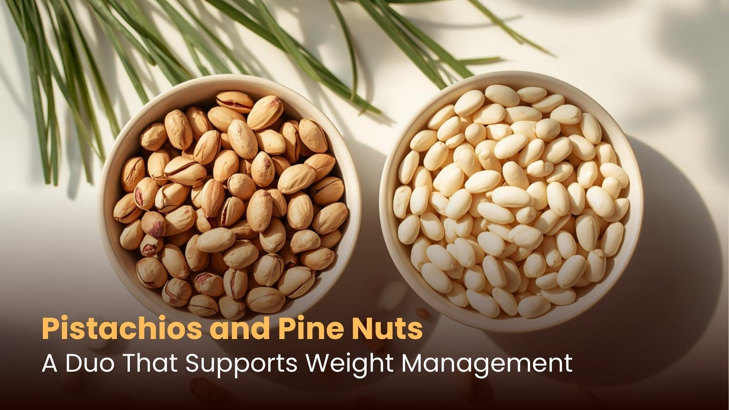 Pistachios and Pine Nuts: A Duo That Supports Weight Management