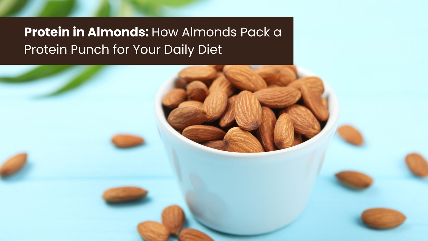 Protein in Almonds: How Almonds Pack a Protein Punch for Your Daily Diet