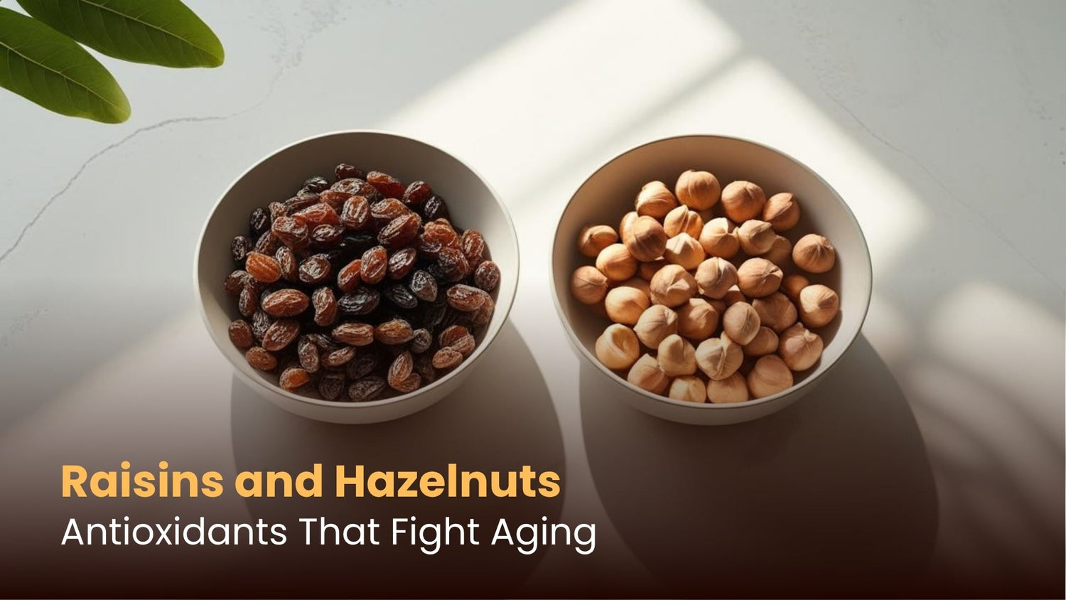 Raisins and Hazelnuts: Antioxidants That Fight Aging
