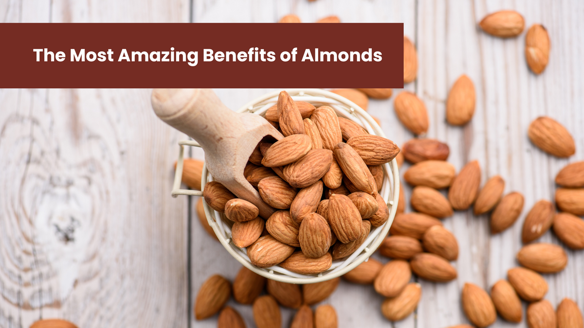 do almonds contain l-carnitine Top Benefits of Almonds for Health, Skin & More do almonds contain l-carnitine Top Benefits of Almonds for Health, Skin & More