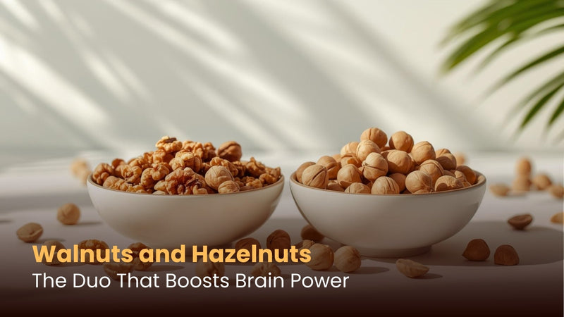 Walnuts and Hazelnuts: The Duo That Boosts Brain Power