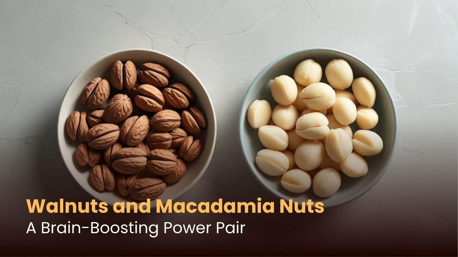 Walnuts and Macadamia Nuts: A Brain-Boosting Power Pair