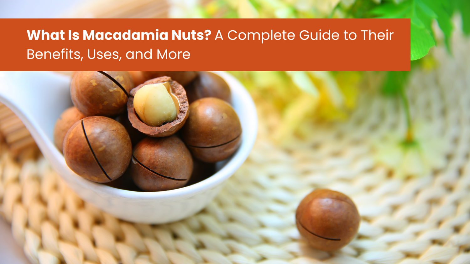 What Is Macadamia Nuts? A Complete Guide to Their Benefits, Uses, and More
